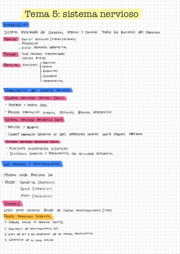 Tema-5-sistema-nervioso-y-sentidos.pdf