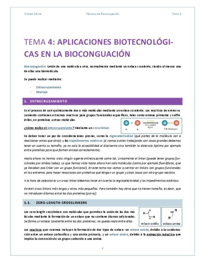 Miniatura del documento BIOCONJ.-T4.pdf