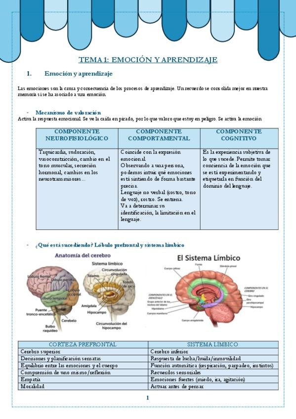 Miniatura del documento TEMAS-PSICOLOGIA-DEL-DESARROLLO.pdf