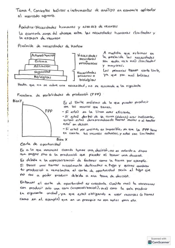 Miniatura del documento Apuntes-economia-y-marketing.pdf