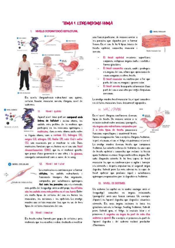 Miniatura del documento EFCH-I.-Lorganisme-huma.pdf