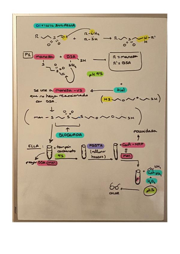 Miniatura del documento esquema-practicas.pdf