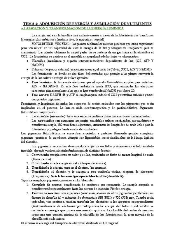 Miniatura del documento TEMA-4.pdf