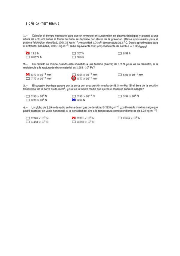 Miniatura del documento TestT2.pdf