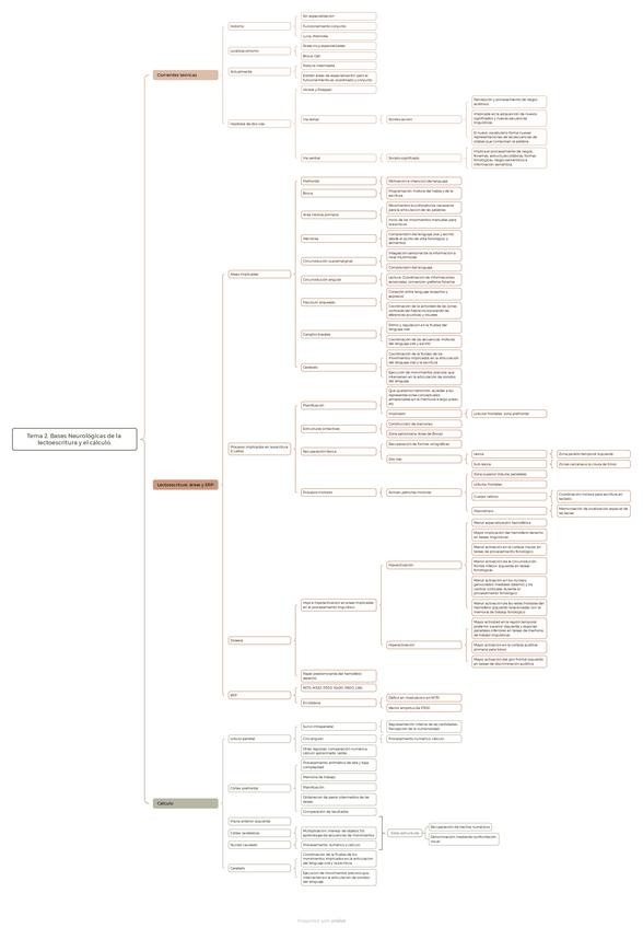 Miniatura del documento Tema-2.-Trastornos-del-aprendizaje.pdf