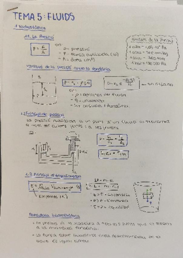 Miniatura del documento Fluids.pdf