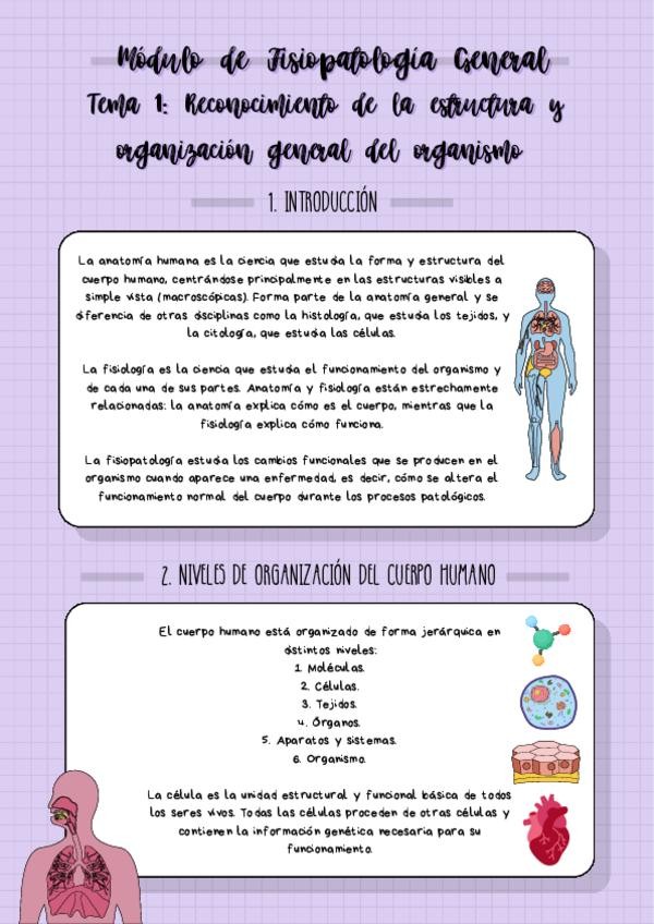 Miniatura del documento Resumen-Tema-1-Fisiopatologia-General.pdf