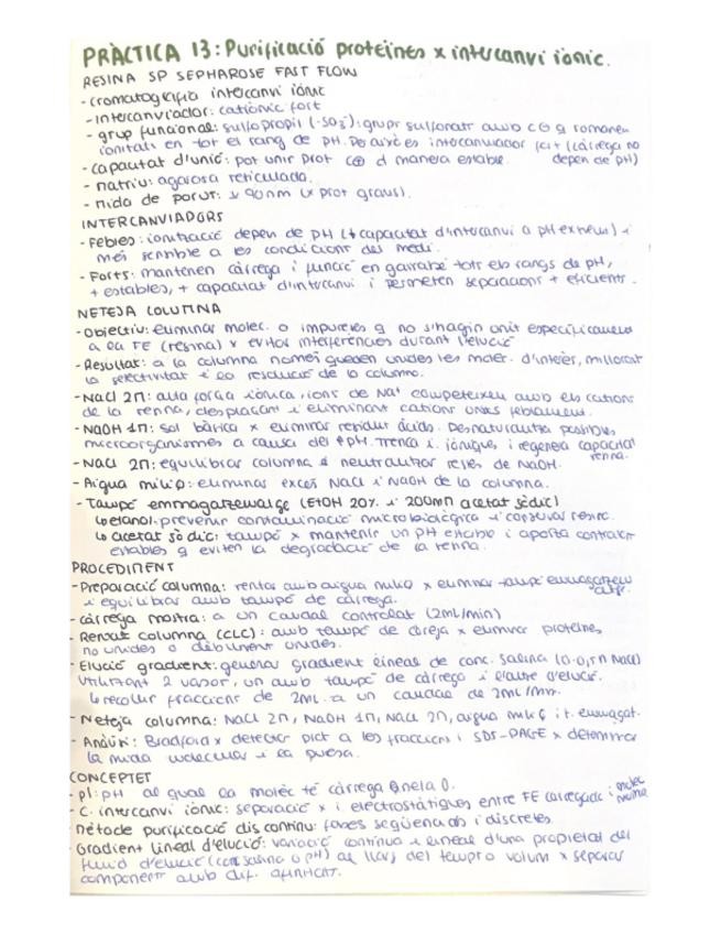 Miniatura del documento resum-practica-13.pdf