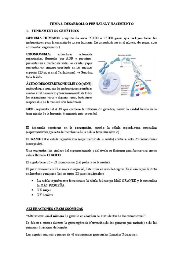 Miniatura del documento TEMA-3-DESARROLLO-PRENATAL-Y-NACIMIENTO.pdf
