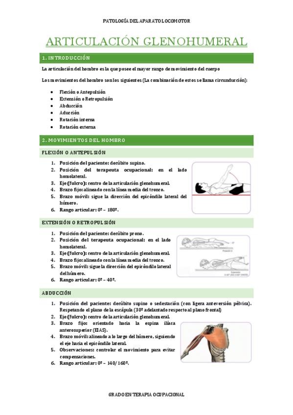 Miniatura del documento PRACTICA-1.-ARTICULACION-GLENOHUMERAL.pdf