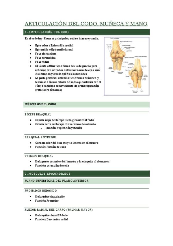 Miniatura del documento PRACTICA-2.-ARTICULACION-DEL-CODOM-MUNECA-Y-MANO.pdf