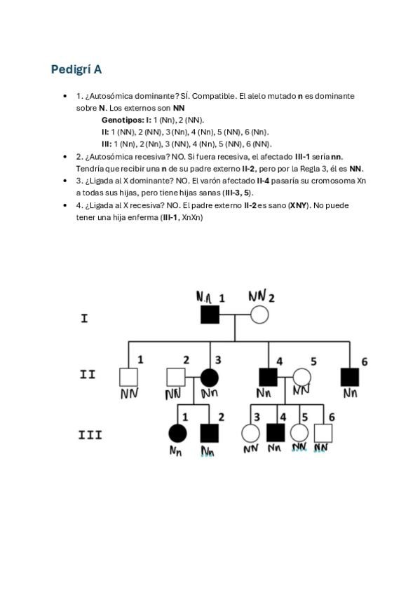 Miniatura del documento ejercicio-pedigris-1.pdf