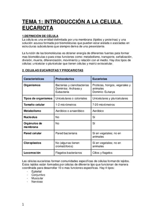 Miniatura del documento BIOLOGÍA.docx