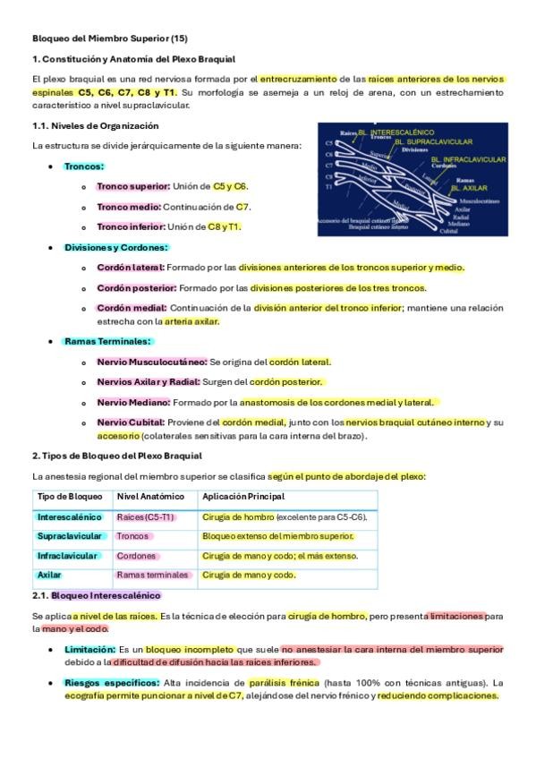 Miniatura del documento 15-BLOQUEO-SUPERIOR.pdf