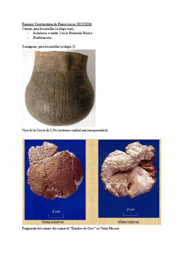 Miniatura del documento Examen-Convocatoria-de-Enero-curso-20252026.pdf