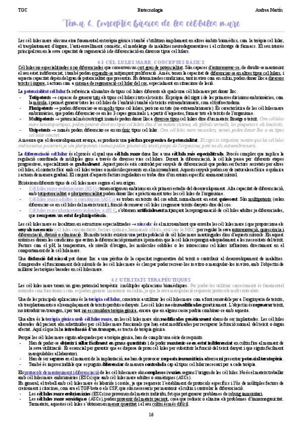 Miniatura del documento tema-6-tgc.pdf
