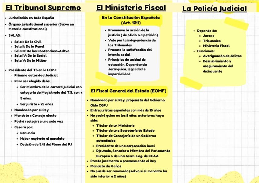 Miniatura del documento TS-MF-PJ.pdf