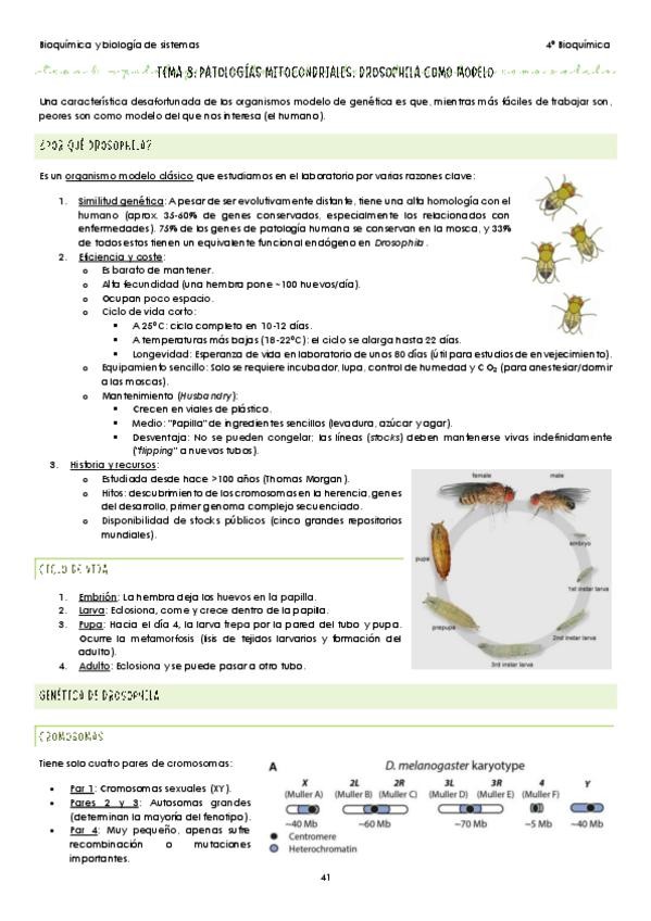 Miniatura del documento Tema-8.pdf