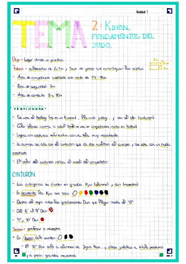 Miniatura del documento T2-COMBATE.-KIHON.-RUNDAMENTOS-DEL-JUDO.pdf