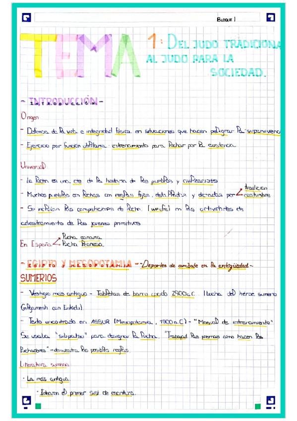 Miniatura del documento T1-COMBATE.-DEL-JUDO-TRADICIONAL-AL-JUDO-PARA-LA-SOCIEDAD.pdf