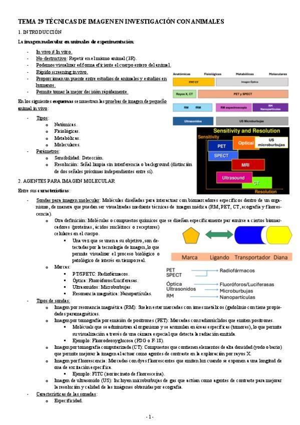 Miniatura del documento MODELOS-TEMA-29-TECNICAS-DE-IMAGEN-EN-INVESTIGACION-CON-ANIMALES.pdf