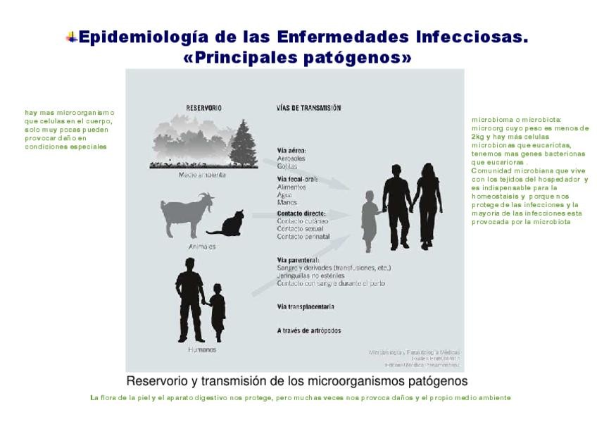 Miniatura del documento Principalespatogenos.pdf