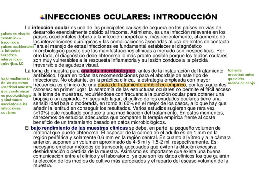 Miniatura del documento TEMA9-10InfOjos.pdf