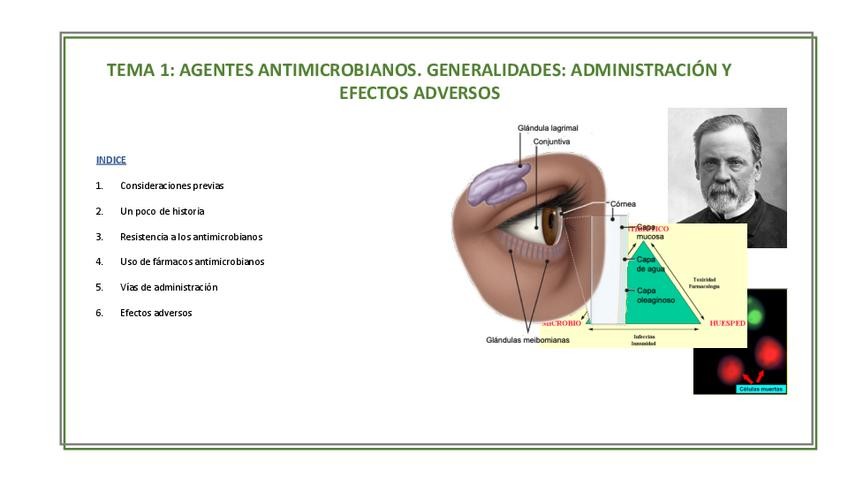 Miniatura del documento Tema-120252026Ric.pdf