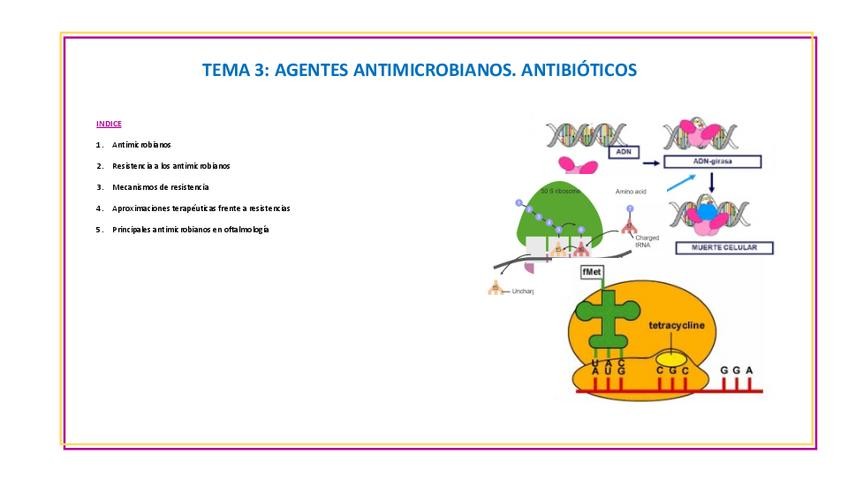 Miniatura del documento Tema-320252026Ric.pdf