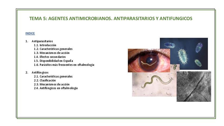 Miniatura del documento Tema-520252026Ric.pdf