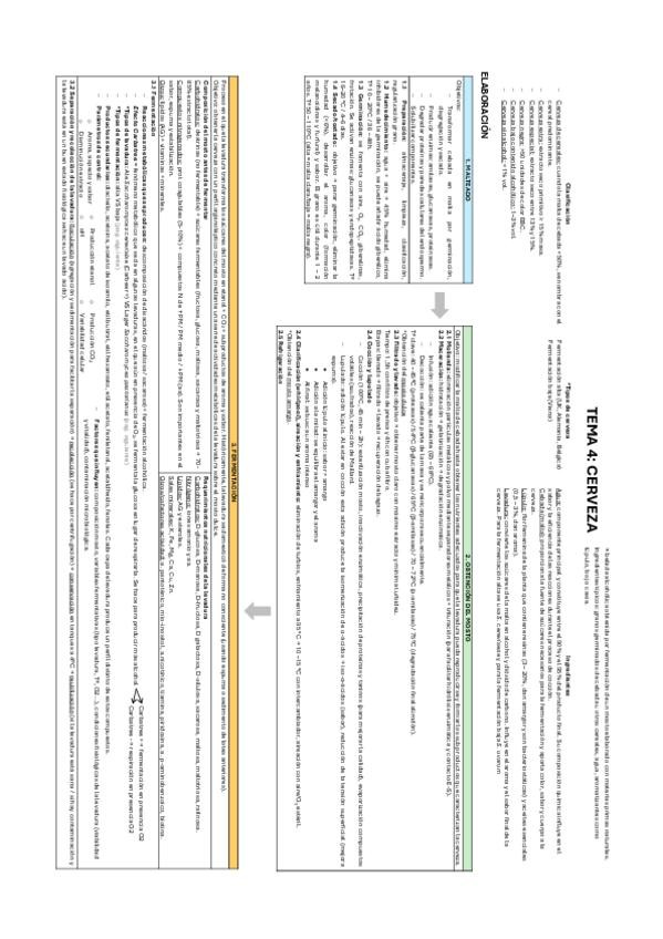 Miniatura del documento TEMA-4-dinA3.pdf