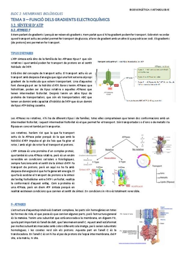 Miniatura del documento Tema-3.2-ATPases-F.pdf