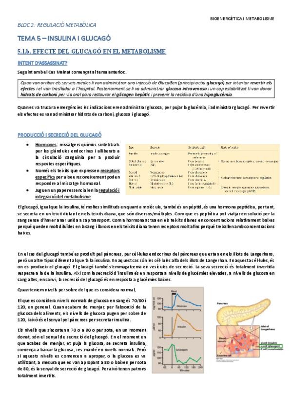 Miniatura del documento TEMA-5.1.b-Efecte-del-glucago-en-el-metabolisme.pdf