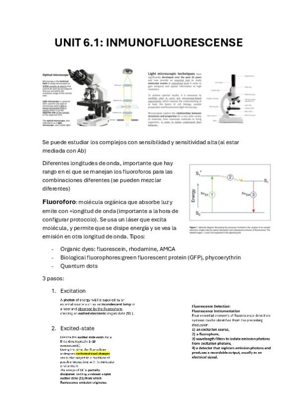 Miniatura del documento unit-6.1.pdf
