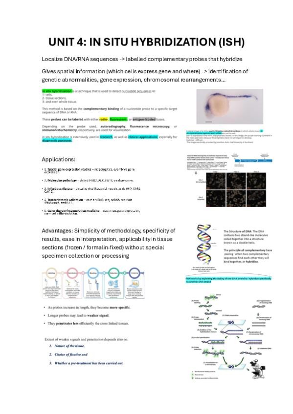 Miniatura del documento tema-4-meth.pdf