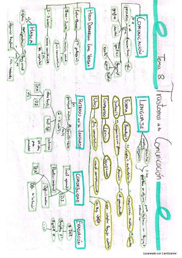 Miniatura del documento tema-8-esquema-Psicopato.pdf