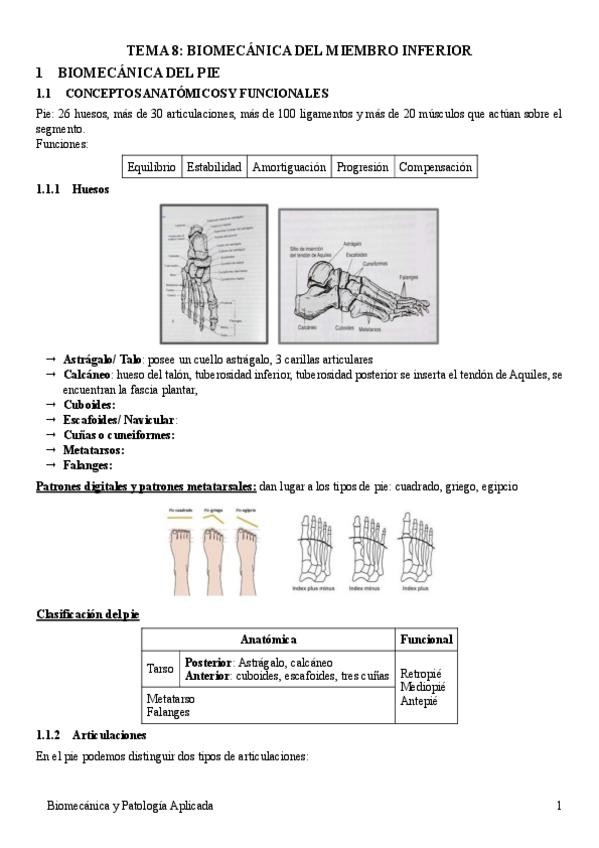 Miniatura del documento TEMA-8-biomecanica-del-miembro-inferior.pdf