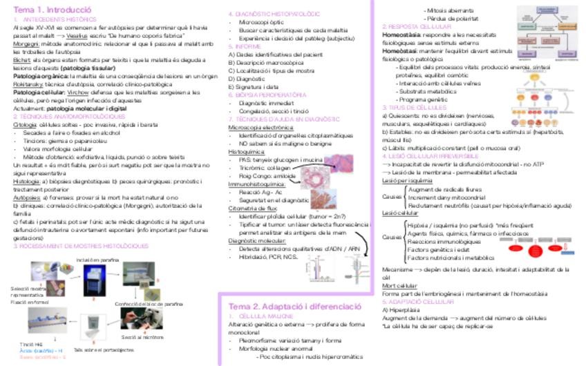 Miniatura del documento resums.pdf