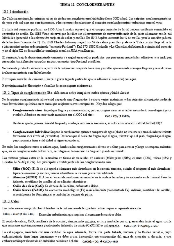 Miniatura del documento Tema-10.-Quimica-Industrial.pdf
