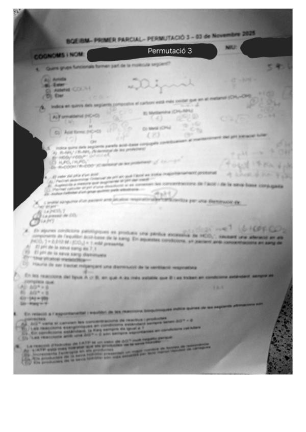 Miniatura del documento Examen-BQ-Parcial-1-202526.PDF