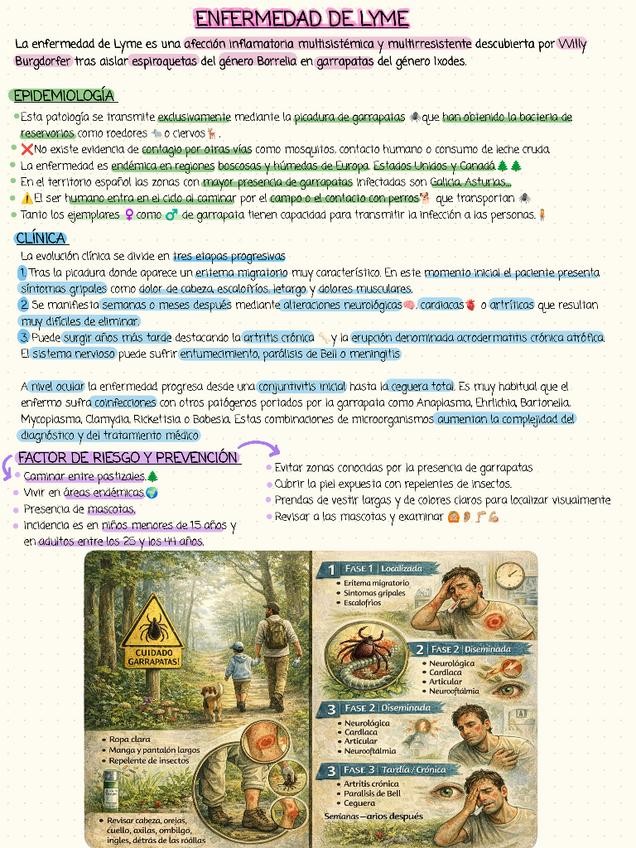 Miniatura del documento Enfermedad-de-lyme.pdf