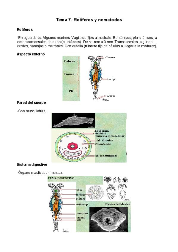 Miniatura del documento Tema-7.pdf