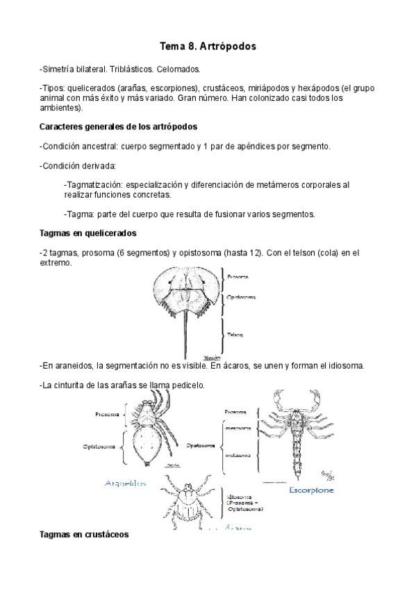 Miniatura del documento Tema-8.pdf