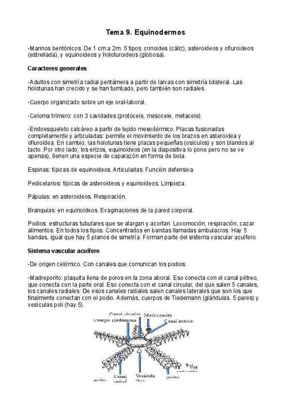 Miniatura del documento Tema-9.pdf