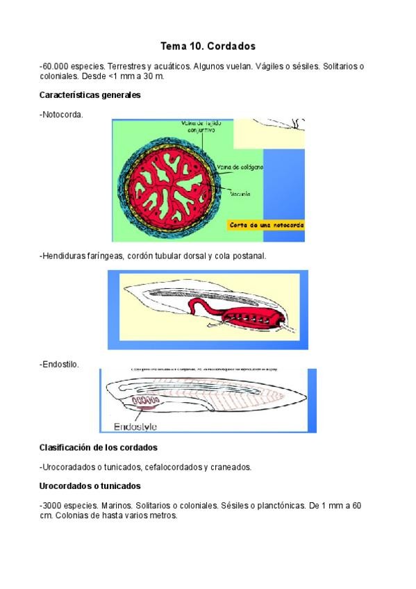 Miniatura del documento Tema-10.pdf