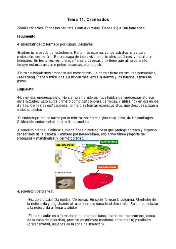 Miniatura del documento Tema-11.pdf