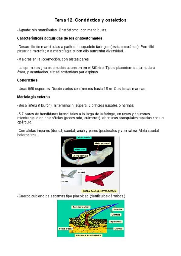 Miniatura del documento Tema-12.pdf