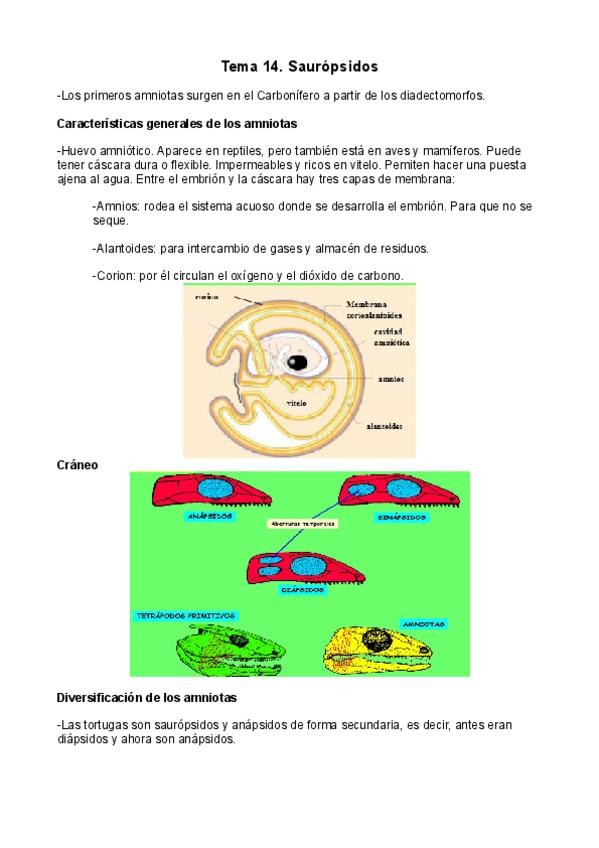 Miniatura del documento Tema-14.pdf