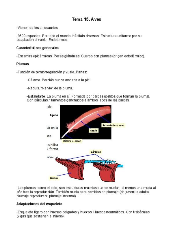 Miniatura del documento Tema-15.pdf