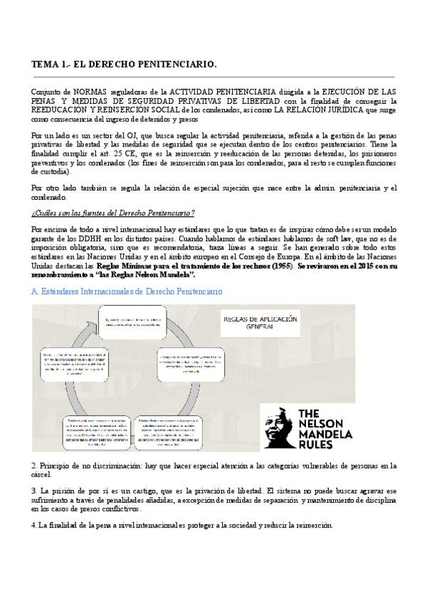 Miniatura del documento TEMA-1.-DERECHO-PENITENCIARIO.pdf